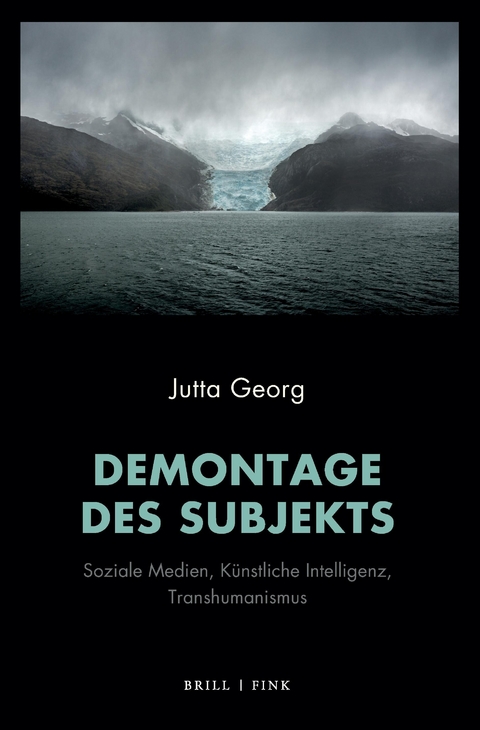 Demontage des Subjekts - Jutta Georg