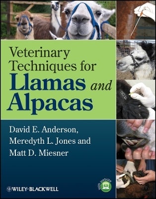Veterinary Techniques for Llamas and Alpacas