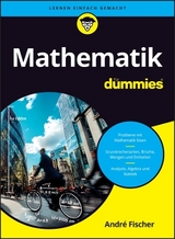 Mathematik für Dummies - Fischer, André