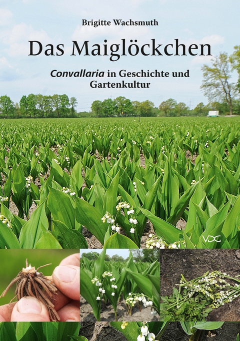 Das Maigl&ouml;ckchen - Brigitte Wachsmuth