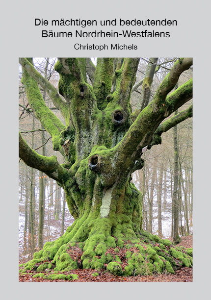 Die m&auml;chtigen und bedeutenden B&auml;ume Nordrhein-Westfalens - Christoph Michels