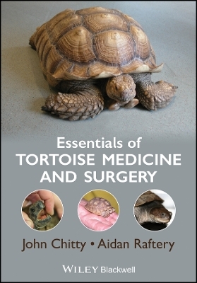 Essentials of Tortoise Medicine and Surgery - J Chitty