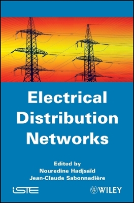 Electrical Distribution Networks