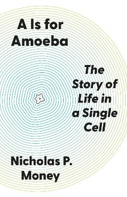 A Is for Amoeba