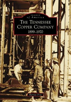 The Tennessee Copper Company - Harriet M Frye,  Ducktown Basin Museum