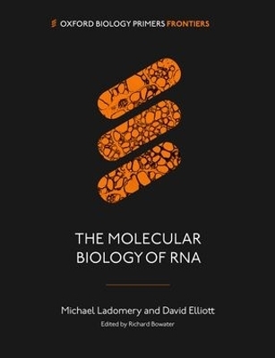 Molecular Biology of RNA