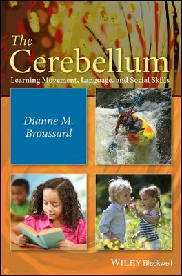 The Cerebellum – Learning Movement, Language and Social Skills