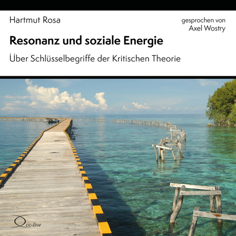 Resonanz und soziale Energie - Hartmut Rosa