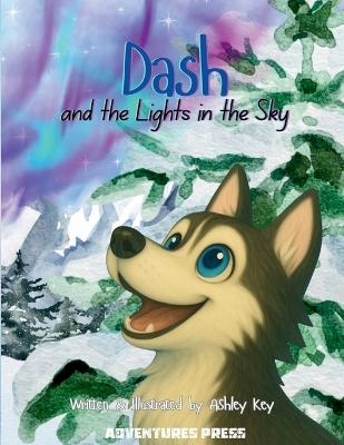 Dash and the Lights in the Sky