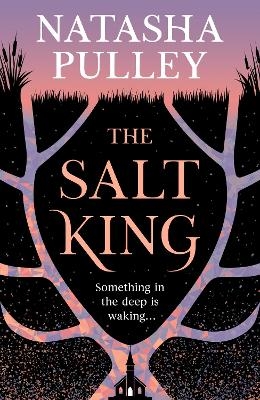 The Salt King - Natasha Pulley