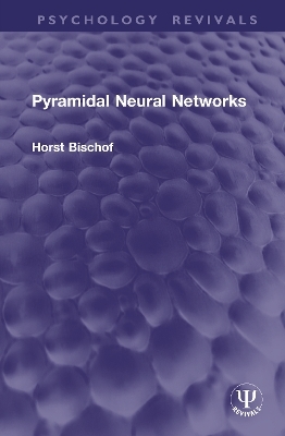 Pyramidal Neural Networks