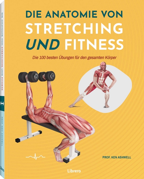 Die Anatomie von Stretching und Fitness - Ken Ashwell
