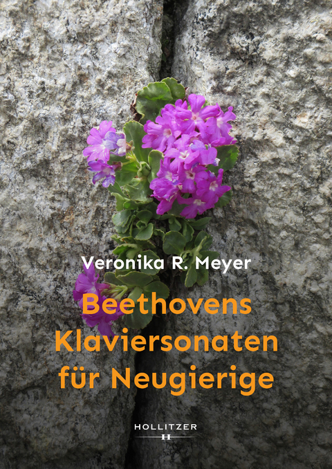 Beethovens Klaviersonaten f&uuml;r Neugierige - Veronika R. Meyer