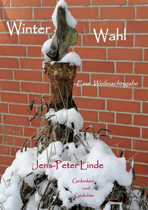 Winter Wahl - Jens-Peter Linde