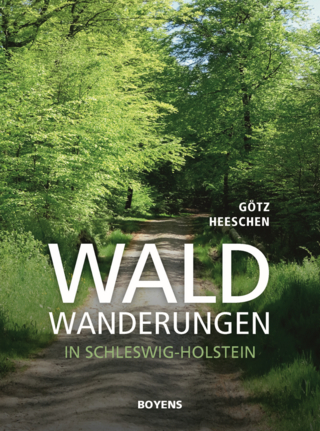 Waldwanderung in Schleswig-Holstein