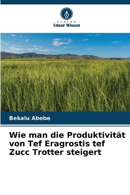 Wie man die Produktivität von Tef Eragrostis tef Zucc Trotter steigert