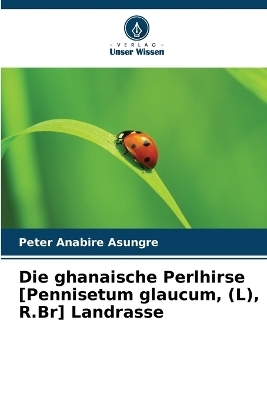 Die ghanaische Perlhirse [Pennisetum glaucum, (L), R.Br] Landrasse