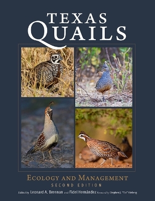 Texas Quails - 