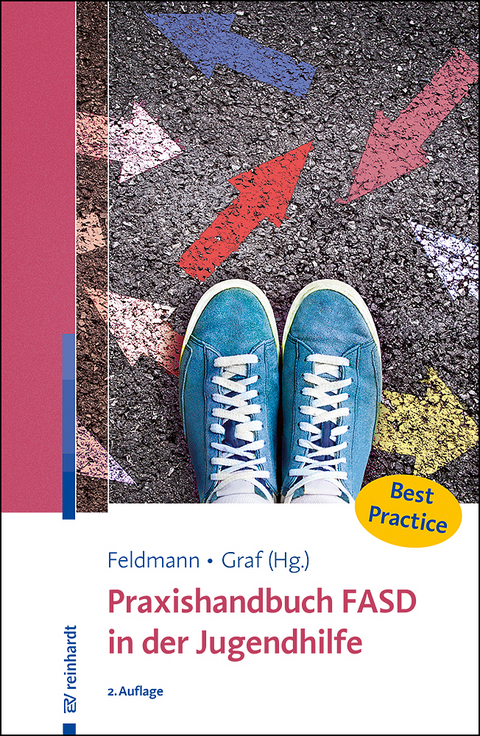 Praxishandbuch FASD in der Jugendhilfe - 