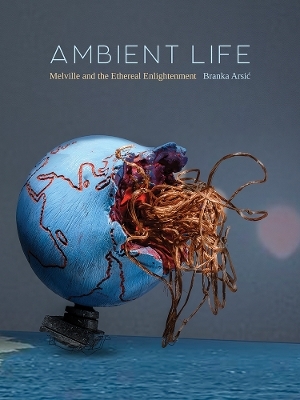Ambient Life Volume 80 - Branka Arsic
