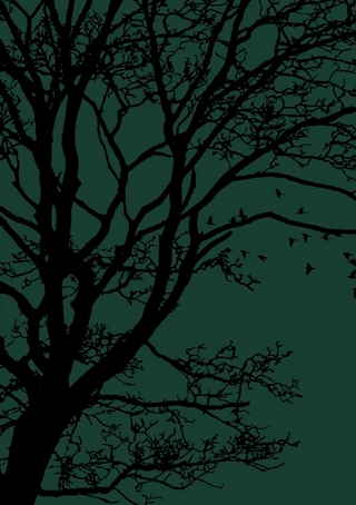 My Writing Project (Guided Journal for Writers)