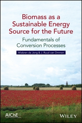 Biomass as a Sustainable Energy Source for the Future – Fundamentals of Conversion Processes