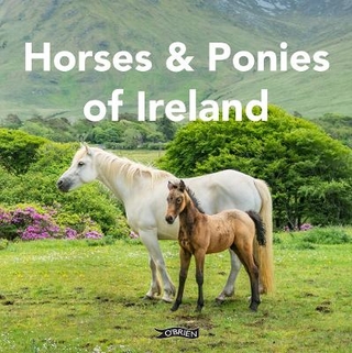 Horses and Ponies of Ireland