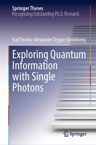 Exploring Quantum Information with Single Photons