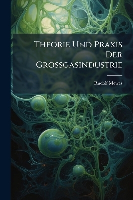 Theorie Und Praxis Der Grossgasindustrie