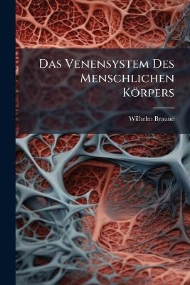 Das Venensystem Des Menschlichen Körpers