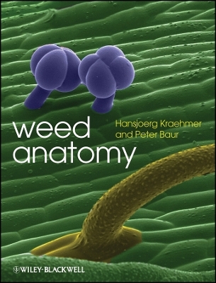 Weed Anatomy - H Kraehmer