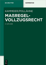 Ma&szlig;regelvollzugsrecht - 