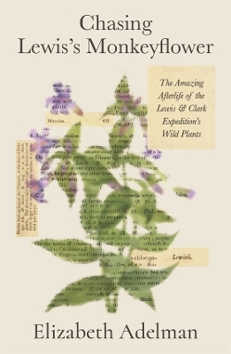 Chasing Lewis's Monkeyflower - Elizabeth Adelman