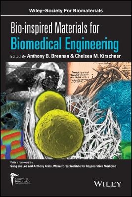 Bio–inspired Materials for Biomedical Engineering
