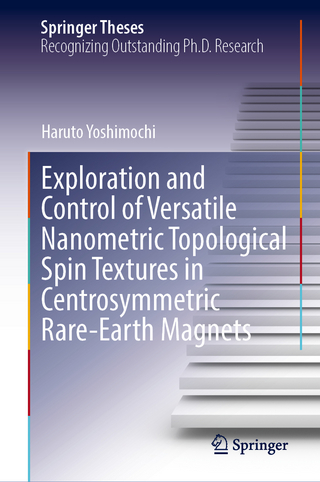 Exploration and Control of Versatile Nanometric Topological Spin Textures in Centrosymmetric Rare-Earth Magnets