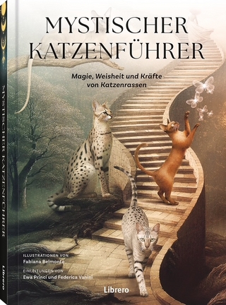 Mystischer Katzenführer