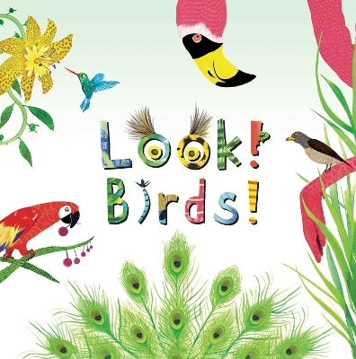 Look! Birds! - Stephanie Calmenson