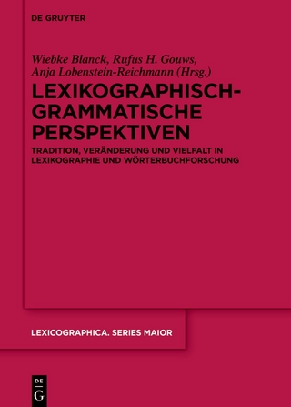 Lexikographisch-grammatische Perspektiven