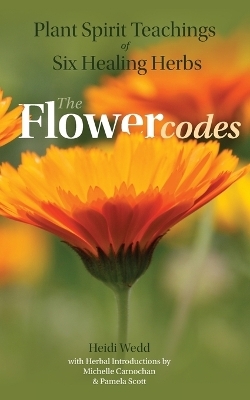 Plant Spirit Teachings of Six Healing Herbs - Heidi Wedd