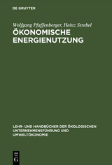 &Ouml;konomische Energienutzung - Wolfgang Pfaffenberger, Heinz Strebel