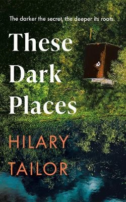 These Dark Places - Hilary Tailor