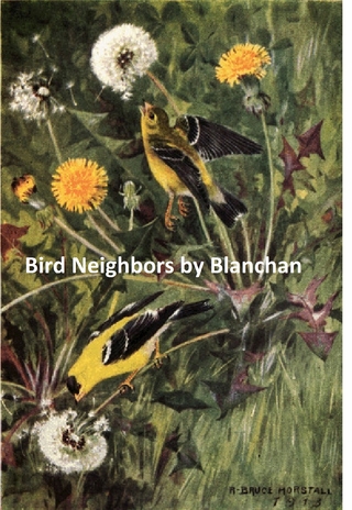 Bird Neighbors