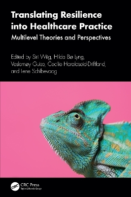 Translating Resilience into Healthcare Practice - 