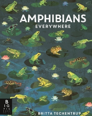 Amphibians Everywhere - Camilla de la Bedoyere