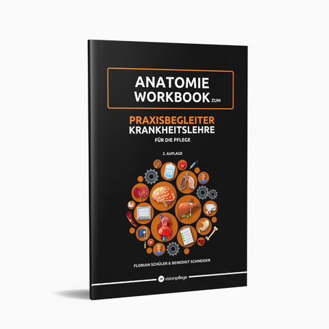 Anatomie Workbook - Florian Sch&uuml;ler, Benedikt Schneider