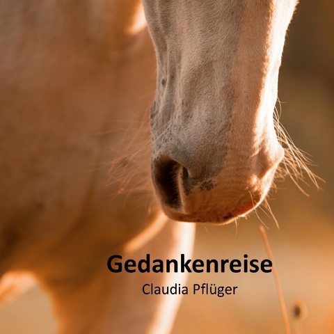 Gedankenreise - Claudia Pfl&uuml;ger