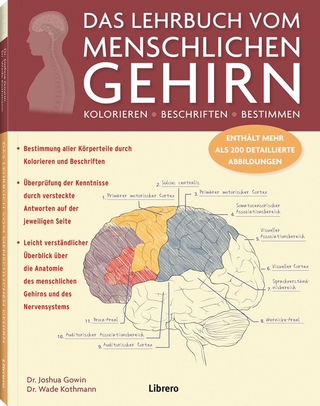 Das Lehrbuch vom menschlichen Gehirn