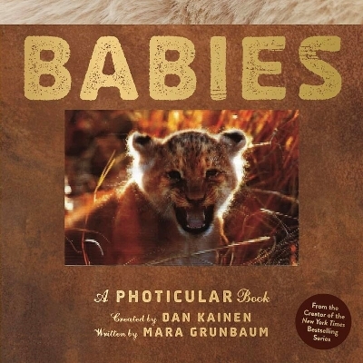 Babies - Dan Kainen