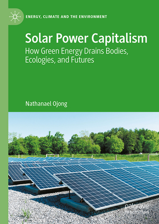 Solar Power Capitalism