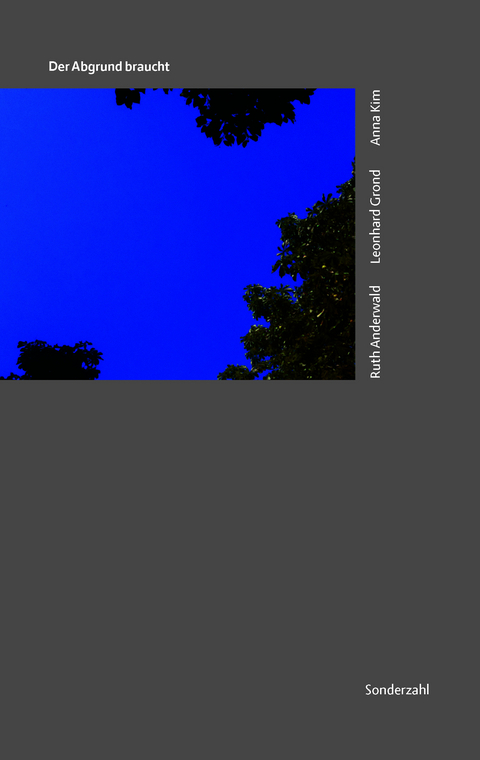 Der Abgrund braucht - Anna Kim, Ruth Anderwald, Leonhard Grond